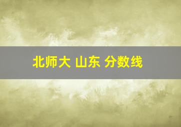 北师大 山东 分数线